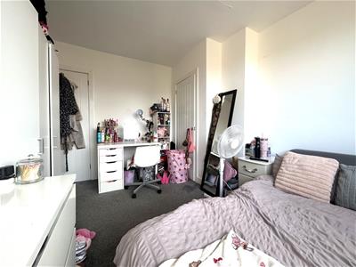 Picture 13